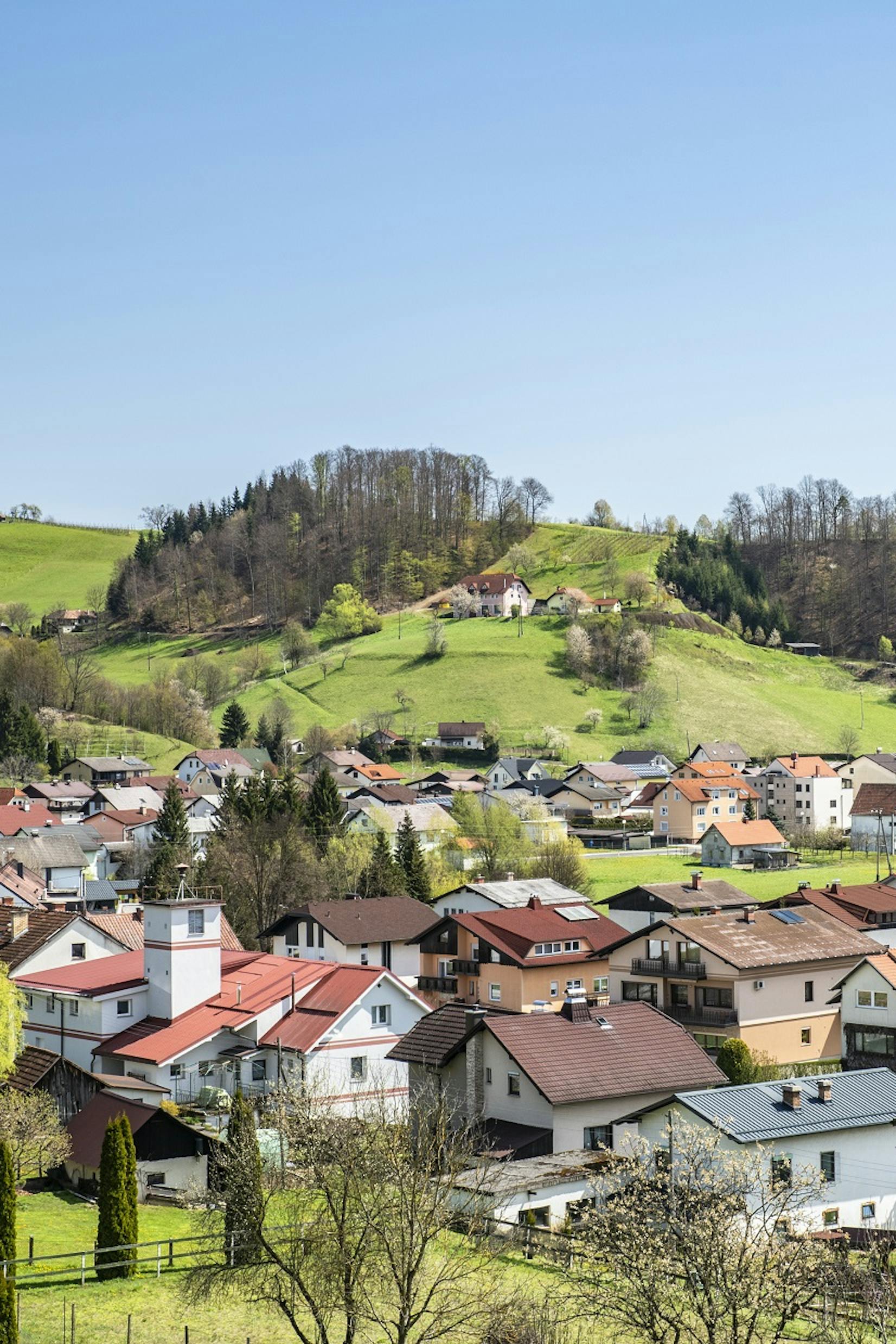 Kungota
